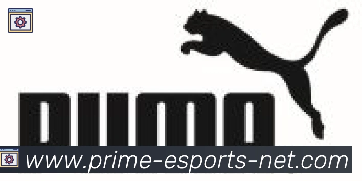 DOTA竞猜合作伙伴