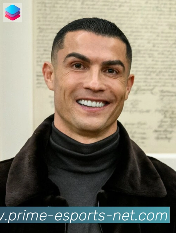 维尼修斯
